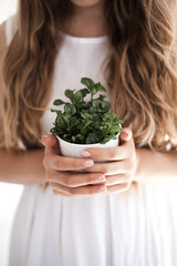 Girl holding a flower on a white background. The girl holds on to the ground. The girl transplants houseplants at home. Earth, seedling, spring, hands, pro concept.
