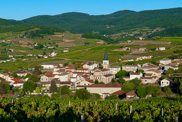 Fototapeta na wymiar Le village de Lantignié dans le vignoble du Beaujolais dans le département du Rhône en France