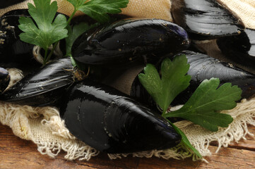 Mytilus  galloprovincialis ft0207_9136 Mittelmeer-Miesmuschel Mitili	