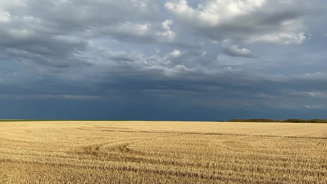On the empty field after harvesting in sunny day before storm.