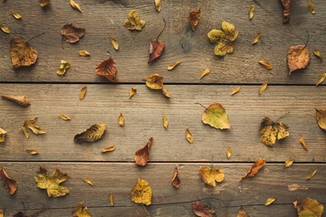 Autumn Leaves On White Wooden Planks
