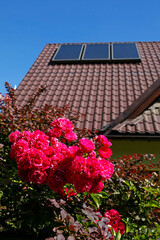solar panels on the roof of modern house and pink roses
