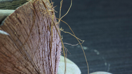 smooth stones from the seabed in crushed coconut