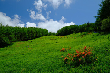 入笠山ハイキング
