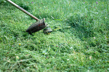 mower trimmer mows grass in summer.