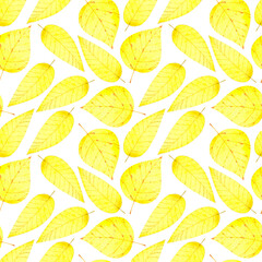 Beautiful watercolor seamless pattern with autumn yellow birch leaves for your design projects (fabrics,wrapping paper,wallpaper,textiles,bedclothes,packaging).On white background.Handdrawn.
