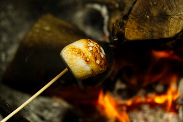 cooking marshmallow on wooden stick over fire.