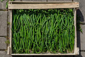 The harvest of green beans lies in a wooden box, top view.