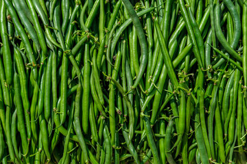 Fototapeta na wymiar Harvest of dietary green beans, stacked tightly together to form a solid background, top view.