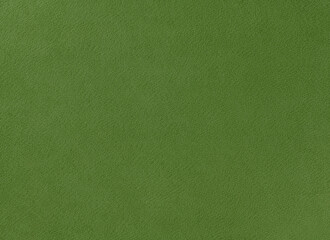 Fototapeta premium photo of green fabric with fibrous texture