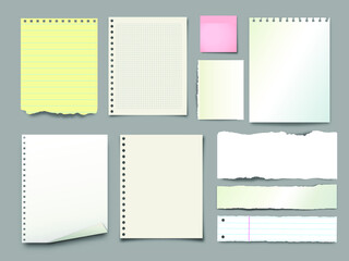 Blank  torn notebook pages with sheet of white paper with curled corner. Ripped paper pieces for notes. Vector illustration