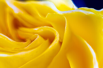 Rose petals close-up. Macro shooting