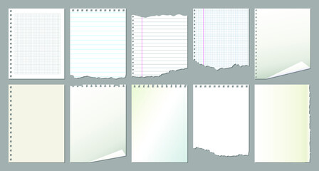 Set of white blank notebook pages. Sheet of white paper with curled corner. Ripped paper pieces for notes. Vector illustration
