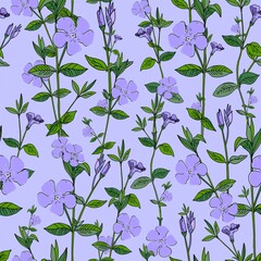 Wildflowers pattern seamless background. Exotic wallpaper. Modern trendy print. Blue flowers. Periwinkle pattern. Print for modern textiles