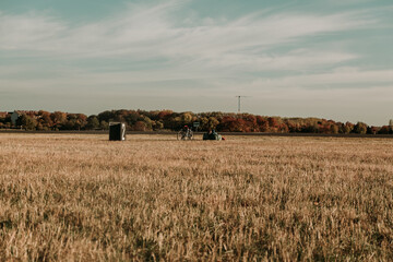 Fototapeta premium tempelhof park at sunset, nature in the middle of berlin city