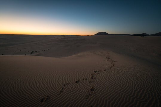 sunset in the desert