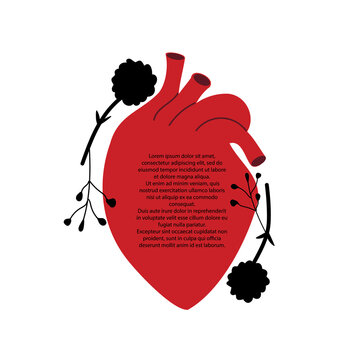 Hand-drawn red anatomical heart with space for text.  Vector floral elements in a flat style isolated on a white background. Romantic greeting card design.