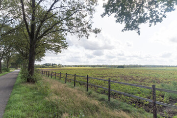 Fototapeta premium A Field near the town of Schoonoord, The Netherlands