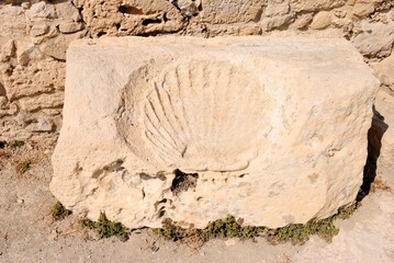 Huge ancient seashell stone carving made thousands of years ago at the Neolithic period Kourion Ancient city in Cyprus