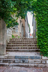 stone staircase in the park