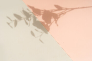 Shadow of leaves on the wall