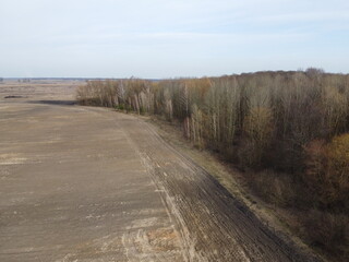 Agricultural field near the forest, aerial view. Landscape.