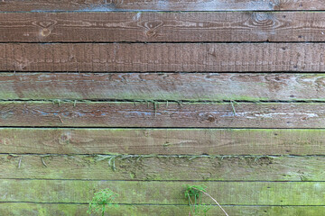 Wooden wall of an old barn. Rough red boards are arranged horizontally. The lower part of the wall is covered with thin green moss. Background. Texture.