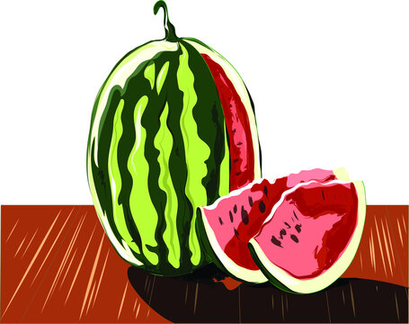 watermelon vector illustration