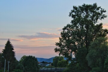 Sunset and big green trees