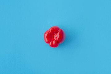 red bell pepper on a blue background. Vegetables.
