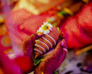 Colorful flower and Coconut at Indian Wedding time