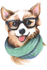 Animal Illustration Corgi Dog Puppy in black glasses