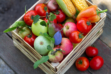 Wooden crate full of eco farm veggies and fruits