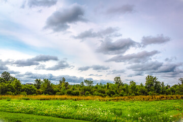 Fototapeta na wymiar Colour landscape photograph at Machin Fields in Kingston, Ontario Canada during a sunny late summer afternoon.