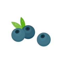 This is a blueberry. Cute berry on white background.
