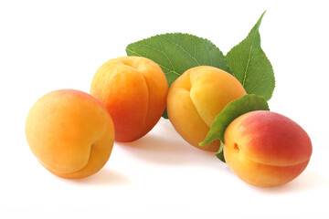 Apricots with twig isolated on white