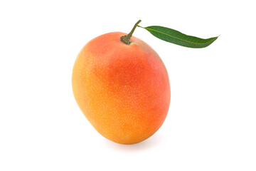Mango with a leaf isolated on white