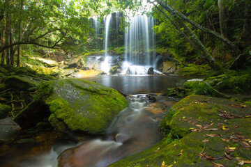 waterfall in the forest at Phukradung National Park of Thailand
