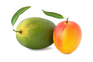 Two mango with a leaf isolated on white
