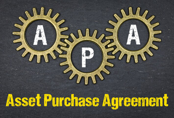 APA Asset Purchase Agreement
