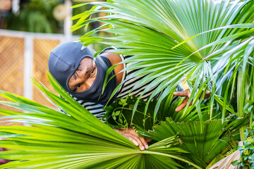 The robber are hiding behind the bushes In order to plan a robbery in the rich village