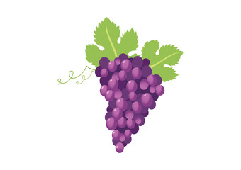 Red ripe grape icon vector. Grapes icon isolated on a white background. Red grapes vector
