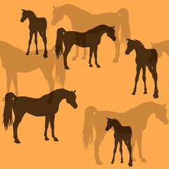 seamless background of figures of Arabian horses, a Mare with a foal and a stallion on a colored background