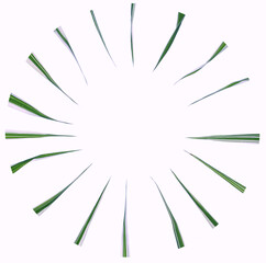 Circle of grass on a white isolated background.