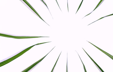 Circle of grass on a white isolated background.