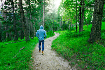 Obraz premium Man Hiking On Nature Path In Woods Forest