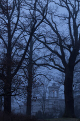 Glienicke Palace (German: Schloss Glienicke) seen through leafless trees in a spooky blue and cold dusk evening. The palace was built in 1826 as the summer mansion of Prince Carl of Prussia