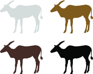 Obraz premium silhouette of antelope