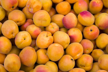 Fresh apricots on the market