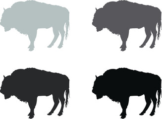 set of buffalo